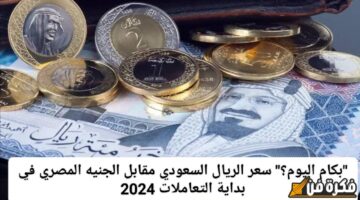 تغيرات مذهلة وغير متوقعة .. سعر الريال السعودي مقابل الجنيه المصري في تعاملات اليوم 2024!