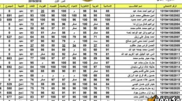 تعرف على طريقة الاستعلام بسهولة وسرعة.. نتائج السادس الإعدادي الدور الثالث في العراق