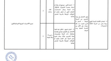 “وزارة التعليم المغربية تعلن” نتائج امتحان الكفاءة المهنية 2025 بالمغرب.. التفاصيل الكاملة وفقاً للاستحقاق!