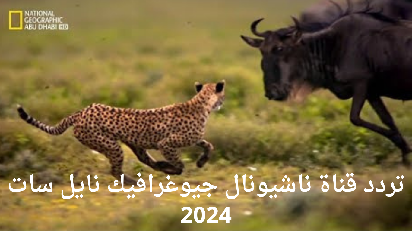 استقبل الان.. تردد قناة ناشيونال جيوغرافيك الجديد 2024 عبر القمر الصناعي نايل سات