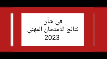 متى موعد الإعلان عن نتائج الامتحان المهني 2023؟ .. وزارة التربية الوطنية توضح