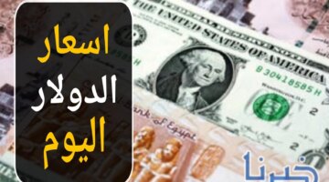 سعر الدولار اليوم السبت 9 نوفمبر 2024.. التحديثات الأخيرة من البنوك المصرية