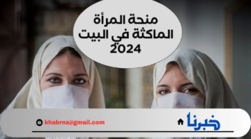 خدى فرصتك وسجلي .. رابط منحة المرأة الماكثة في المنزل 2024 minha.anem.dz بالخطوات والشروط الوكالة الوطنية بالجزائر