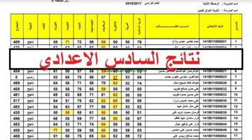 كشوفات pdf.. رابط نتائج السادس الاعدادي 2024 الدور الثالث عبر موقع mlazemna في محافظة الكرخ والرصافة والبصرة وعموم المحافظات