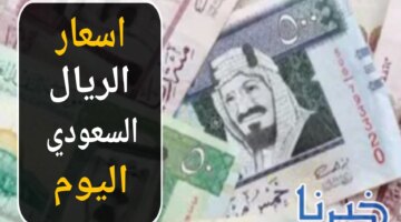 تعرف على سعر الريال السعودي اليوم السبت 9 نوفمبر 2024 في مصر