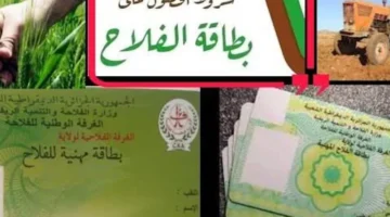 هتحصل علي 300 دينار جزائري بسهولة وسرعة عند التقديم على بطاقة الفلاح في الجزائر، فرصة لا تفوتك!