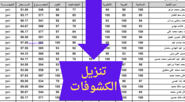 www results.mlazemna.com رابط نتائج السادس الاعدادي 2024 pdf الدور الثالث وزارة التربية نتائجنا