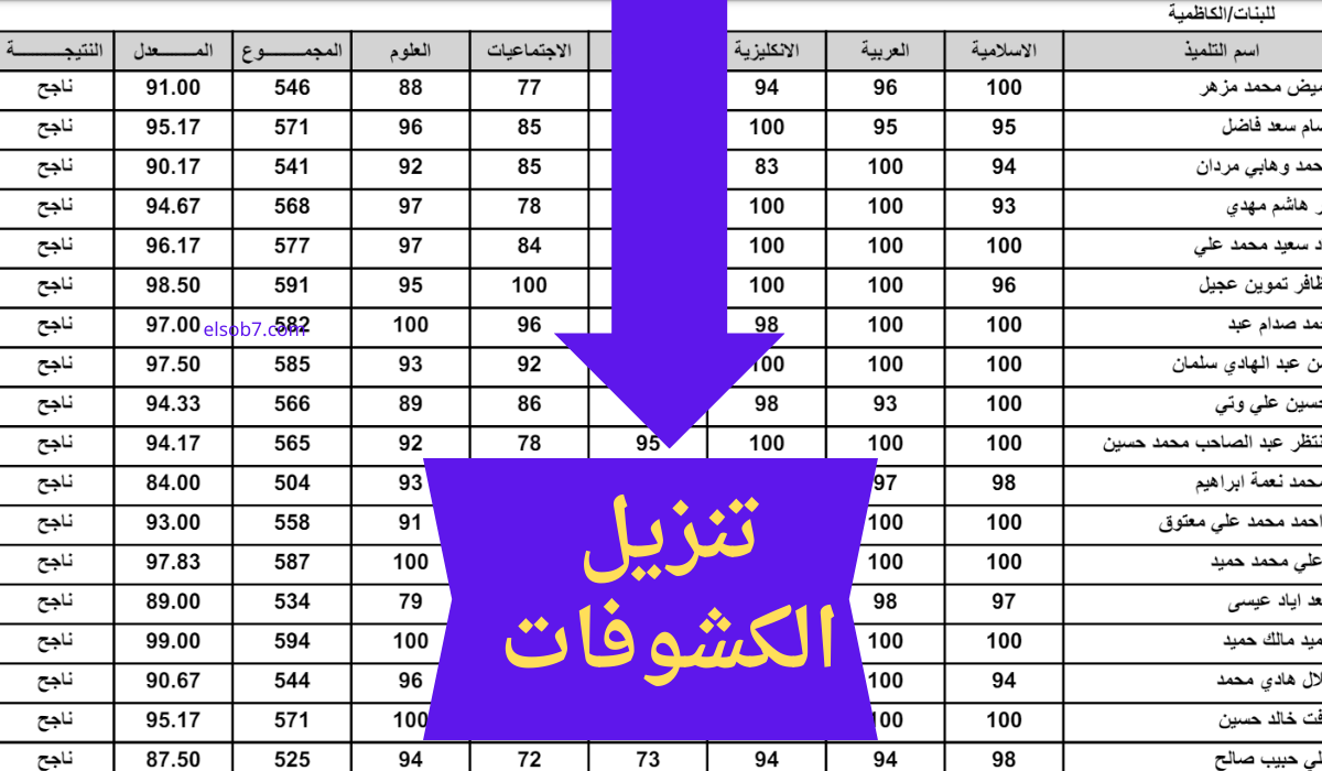 www results.mlazemna.com رابط نتائج السادس الاعدادي 2024 pdf الدور الثالث وزارة التربية نتائجنا