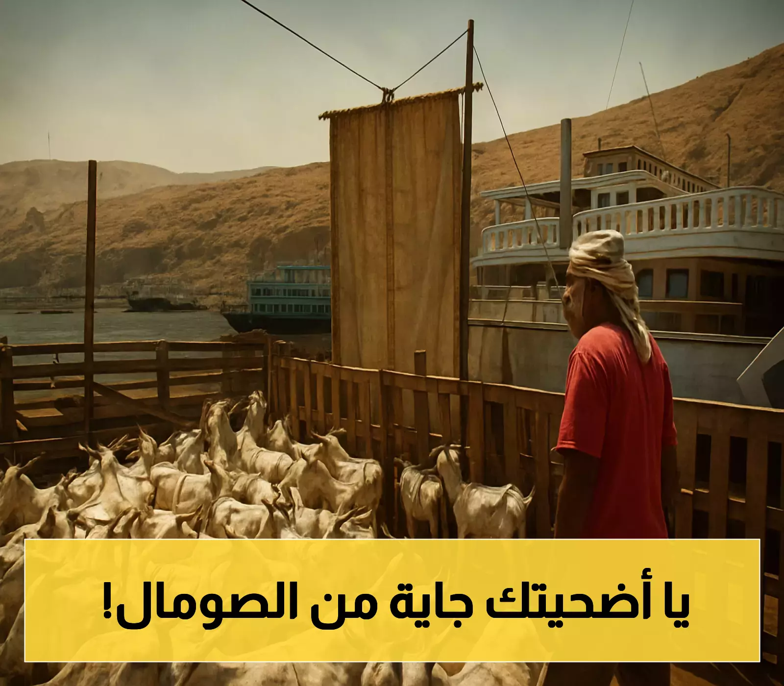 ميناء المكلا يستقبل سفن محملة بآلاف الأغنام والأضاحي من بوصاصو وبربرة الصوماليين