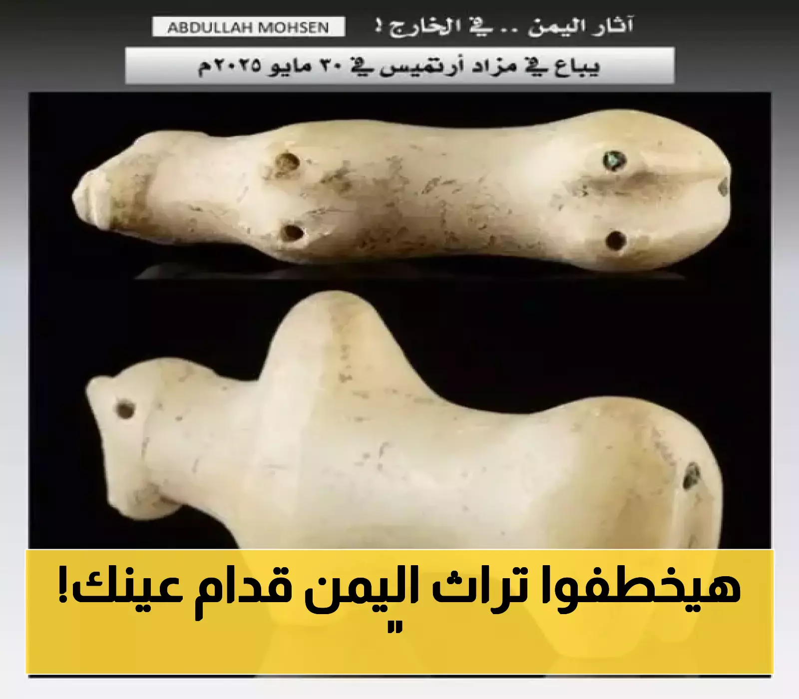 ثور يمني تاريخي يُباع في مزاد علني بأمريكا.. رحلة حضارة اليمن إلى العالم!