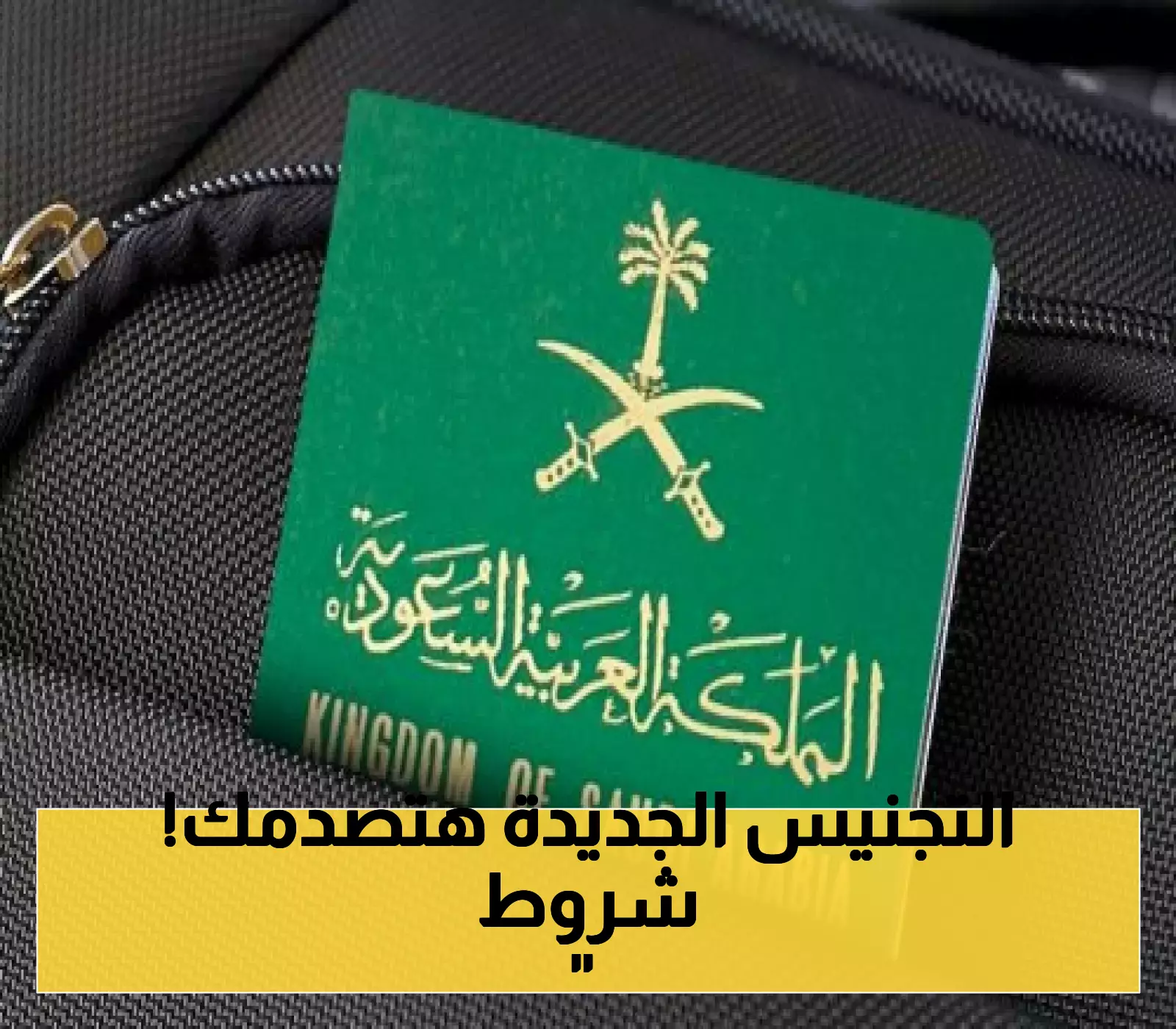 السعودية تعلن عن تحديث نظام التجنيس: إقامة 5 سنوات متتالية مع التركيز على الكفاءات العلمية – تعرف على التفاصيل!