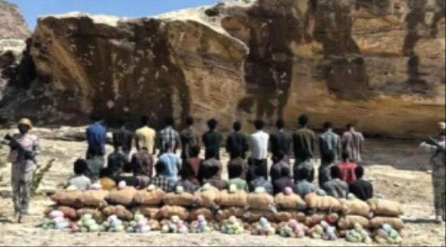 السعودية تكشف محاولة تهريب 250 كيلوغرام من القات وتعتقل 10 يمنيين على خلفية القضية