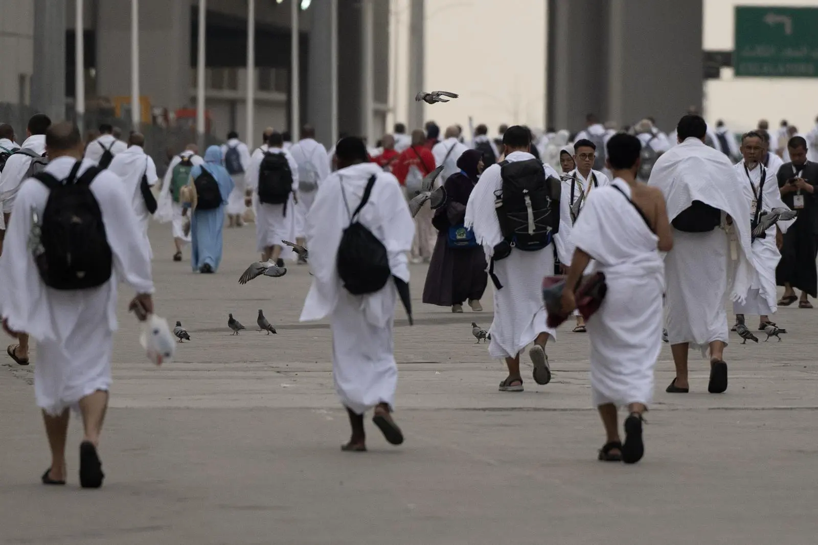 357 قرارًا إداريًا لمخالفي أنظمة الحج: تعزيز الالتزام وتنظيم الموسم