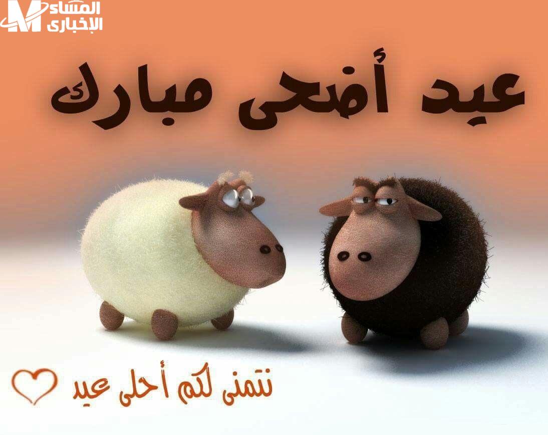 العيد يجمعنا: موعد عيد الأضحى 2025 في مصر والسعودية والإمارات مليء بالحب والسعادة